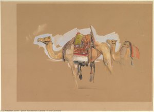 Two Camels — John Frederick Lewis