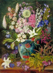 Fiori Selvatici Di Albany, Australia Occidentale — Marianne North