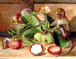 Flowers And Fruit Of The Mangosteen, And A Singapore Monkey — Marianne North