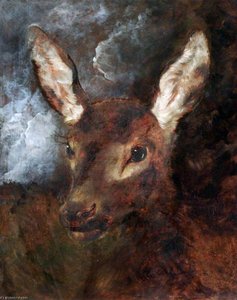 Head Of A Hind — Εδβιν Λάνσερ