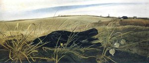 Winter Fields — ენდრიუ ნიუელი უაითი
