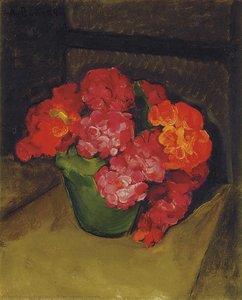Flowers — Aldo Cláudio Felipe Bonadei