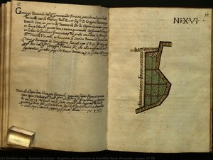 Registry Of Vineyards At The Villa Sora (frascati): Pages 37-38 — 안토니오 줄리아니