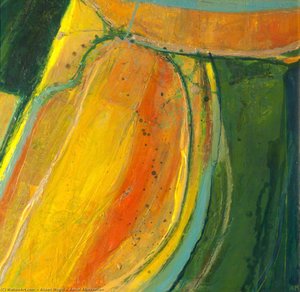 Aerial Abstraction — Alison Mcgill