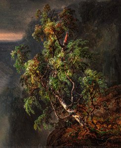 Norwegian Bjørk Med Storm Birch Tree In A Storm — Johan Christian Claussen Dahl