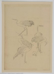 Preparatory Sketch — Ishibashi Kazunori