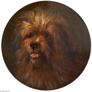 Head Of A Yorkshire Terrier — Rosalie Chichester