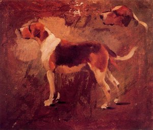 Studies Of Dogs — Josep Cusachs I