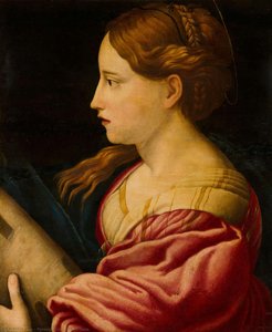 St Barbara — Parmigianino