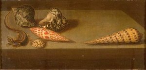 Lezard Coquillages — Balthasar Van Der Ast