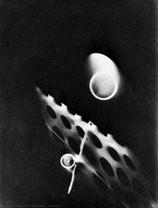 Photogram — László Moholy-nagy