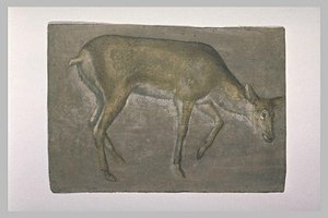 Sketch Of Deer Doe — Jacopo Bellini