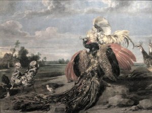 Peacock And Cock Fighting — Paul De Vos