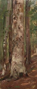 Forest (13) — Ivan Ivanovich Shishkin