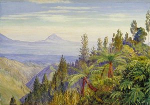 The Ardjuno Volcano From Tosari, Java — Marianne North