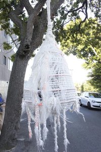 Liza Grobler, Chrysalis — Liza Grobler