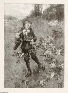 Bird's Nest — Henry Wolf