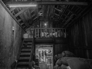 Untitled — أرجون بيجلاني