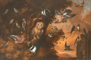 An Owl Being Mobbed By Other Birds — Francis Barlow