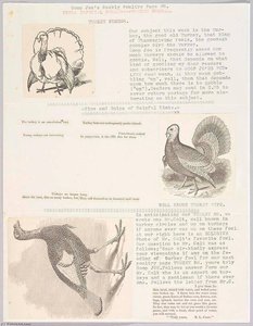 Goop Joe's Weekly Poultry Page 6. Extra Especial Number Turkey Number. Turkey Number — Joseph Cornell