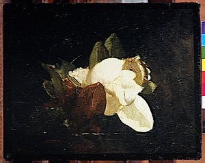 Magnolia — Gustave Moreau