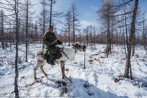 A Tsaatan Chief Riding His Reindeer — Angelo Chiacchio