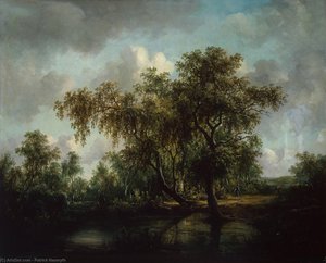 Landscape With A Pond — Патрик Назміт