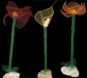 Triptych In The Restlessness Of Nature — Filomena Bilber