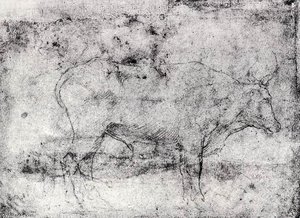 Study Of A Bull — Cesare Da Sesto