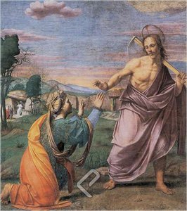 Noli Me Tangere — Franciabigio