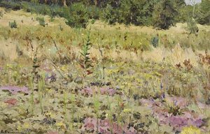 A Meadow — Sergei Svetoslavsky