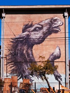 Horse — Roa (artist)