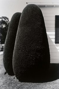 San Francisco, California — Henry Wessel Jr.