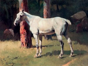 Dapple-bay Horse — Josep Cusachs I
