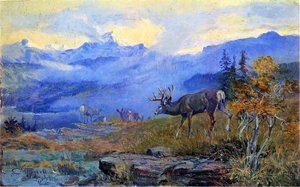 Deer Grazing — Charles Marion Russell
