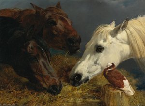 Farmyard Friends — John Frederick Herring Förste