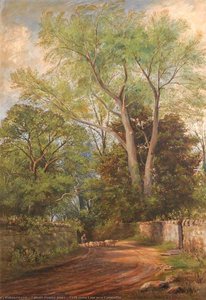 Coed Helen Lane Near Caernarfon — Samuel Maurice Jones
