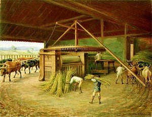 Português Moagem Da Cana Na Fazenda Cacheira, Em Campinas English Sugarcane Crushing In Cacheira Farm In Campinas — Benedito Calixto