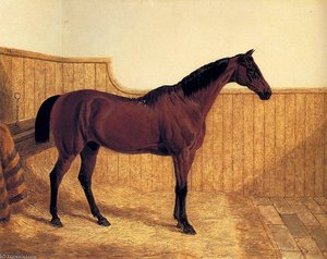 Untitled (401) — John Frederick Herring Junior