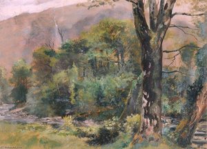 The Colwyn — Frederick William Hayes