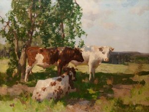 Sunshine And Shadow — David Gauld