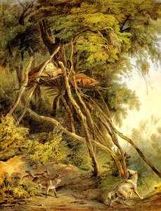 Tombs Of Assiniboin Indians In Trees — Karl Bodmer