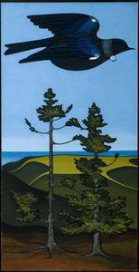 Tui Over Kauri, Te Henga — Donald Hall Binney
