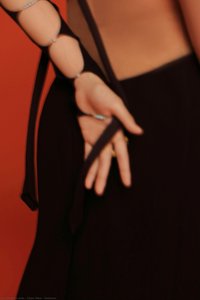Seducer — Chen Man