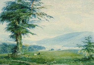 Gwaelod Y Garth — Penry Williams
