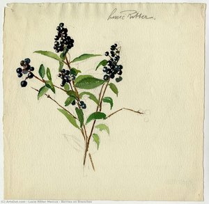 Berries On Branches — Lucie Ritter Marcus