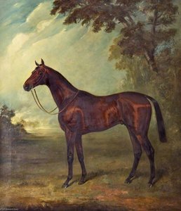 'minoru' — James Lynwood Palmer
