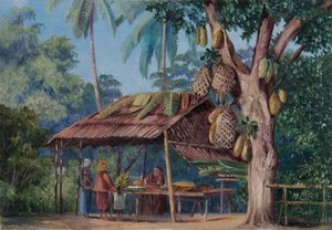 Tienda De Árboles De Yaca, Malang, Java — Marianne North