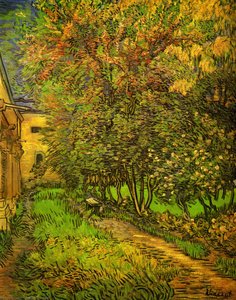 Сад Лікарні Сен-поль — Vincent Willem Van Gogh
