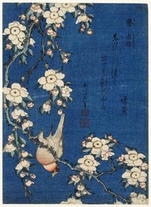 Weinender Kirschbaum Und Meise — Katsushika Hokusai